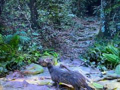 -香港科学馆