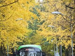 -四川大学(华西校区)