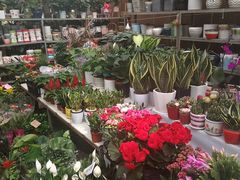 -秦美花卉(天朗·莱茵小城2期店)
