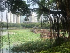 -南宁南湖公园