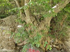 -孤山寨风景区