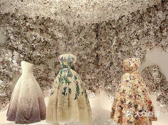 成都看展｜DIOR展成都站《梦之设计师》