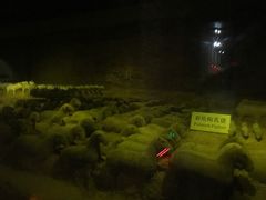 -汉景帝阳陵博物院