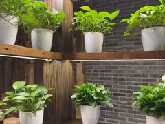 -聚友斋(柳泉路八大局店)