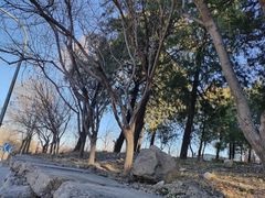 -玉渡山自然风景区