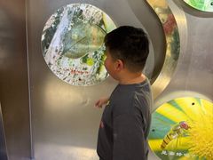 -上海昆虫博物馆