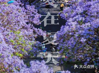 游昆记:爱在夏天:昆明五月最美的地方
