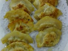 猪肉酸菜煎饺-老边饺子馆(东单店)