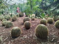 -呀路古热带植物园