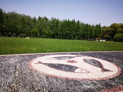 -合肥滨湖国家森林公园