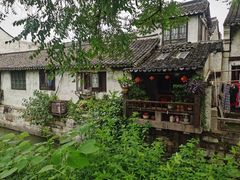 -枫泾丁氏烧卖(枫丽路店)