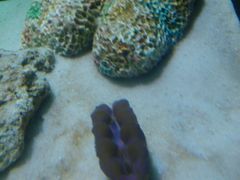 -水上乐园·欢乐世界