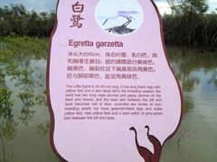 -东寨港红树林旅游区