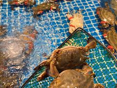 -驻海渔市(置信店)