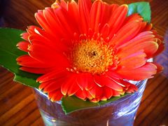 -君悦大酒店行政酒廊