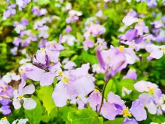 -元大都城垣遗址公园