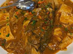 乾隆鱼头烧豆腐-乾隆美食·本帮菜(黄河路店)