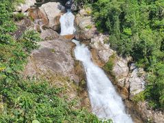 -海南热带雨林国家公园吊罗山景区