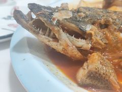-煲来饱去冷水鱼