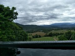 -黄色小屋