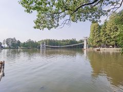 -东湖落雁景区