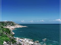 -广东惠东海龟国家级自然保护区