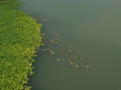 -三垟湿地
