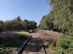 -永定河休闲森林公园