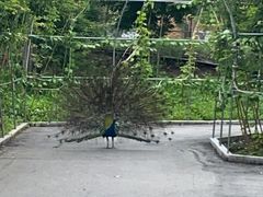 -参仙谷生态旅游度假区