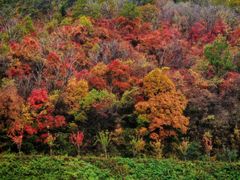 -沈阳辉山风景区