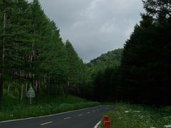-乌兰布统草原