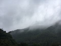 -WILDS 野有食(碧坞店)
