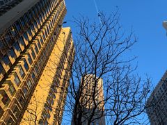 -比格比萨自助(万柳华联店)