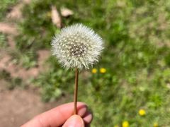 -沈阳森林动物园