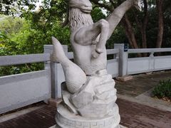 -银湖山郊野公园-相思林