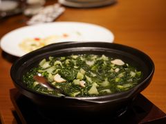 -广州富力君悦大酒店空中花园