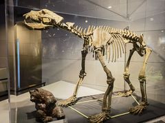 -北京周口店北京人遗址博物馆