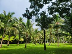 -中国科学院西双版纳热带植物园
