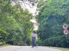 -南京市江宁方山