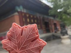 -香山公园