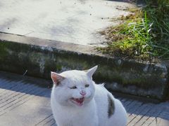 -四川大学(江安校区)