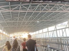 -武汉关码头(轮渡站)