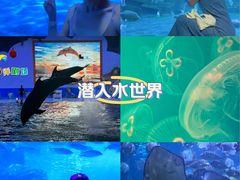 -蓬莱欧乐堡海洋极地世界