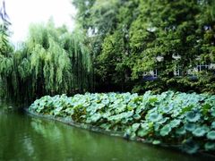 -钓鱼台国宾馆