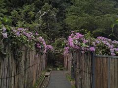 -世间香境·七溪地