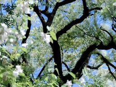 -UME影城(西城广场店)