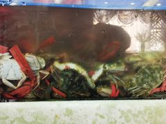 -王潮活海鲜自助·蒸汽海鲜