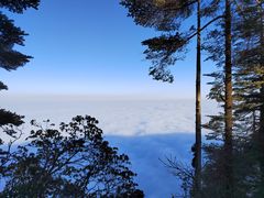 -瓦屋山景区