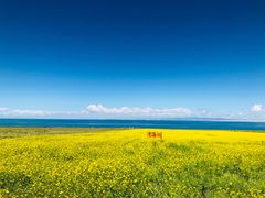 -青海湖国家重点风景名胜区
