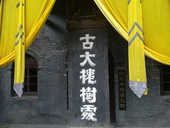 -大槐树寻根祭祖园